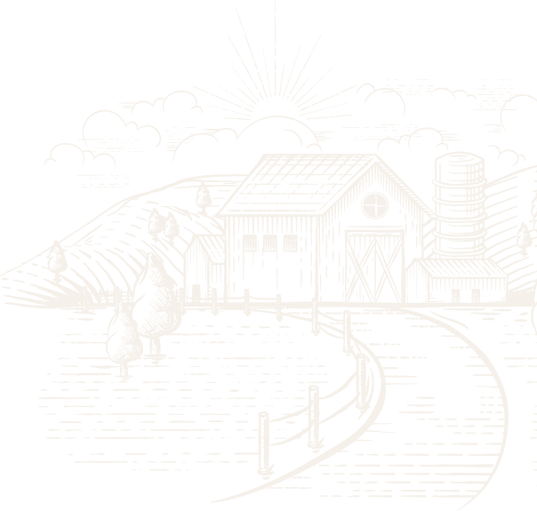 Брендированный улей 2