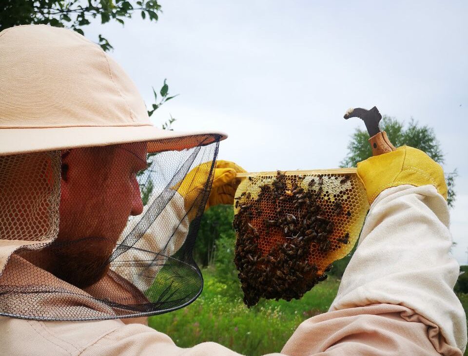 Именной мёд в банках