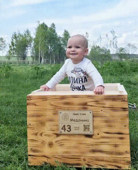 Медоника - самая юная обладательница улья